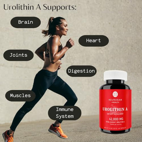 Urolithin A – Cápsulas de Suplemento de Regeneração Celular de Alta Potência para Suporte Energético, Envelhecimento Saudável, Foco e Recuperação Muscular – Fabricado nos EUA, Tome 1 Diariamente - Neurogan