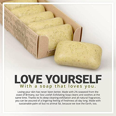 EOSVAP - Sabonete Esfoliante Baudelaire, Sabonete de Banho de Luffa do Mar