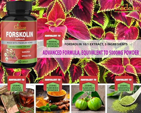 Organic Cadane - Orgânico Cadane 2 Packs Cápsulas de Suplementos de Forskolin 5000mg – Potencialize sua saúde com a marca Cadane