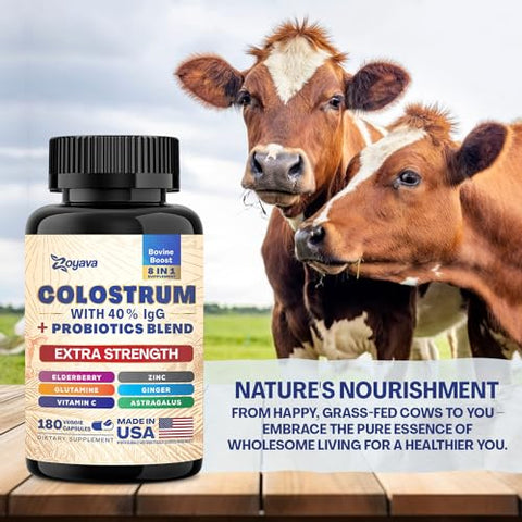 Cápsulas de Colostro Bovino, 40%% IgG, Probióticos, Sabugueiro, L-Glutamina, Astrágalo, Vitamina C, Gengibre, Zinco (180 cápsulas) - Zoyava