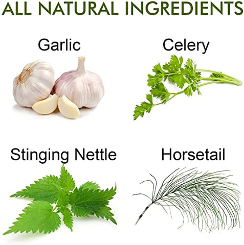 Reuma Art X Strength – 400 mg Suplemento Herbal – Fortalecimento e Alívio – Suporte para Dores nas Articulações – 90 Cápsulas Vegetais - Full Life