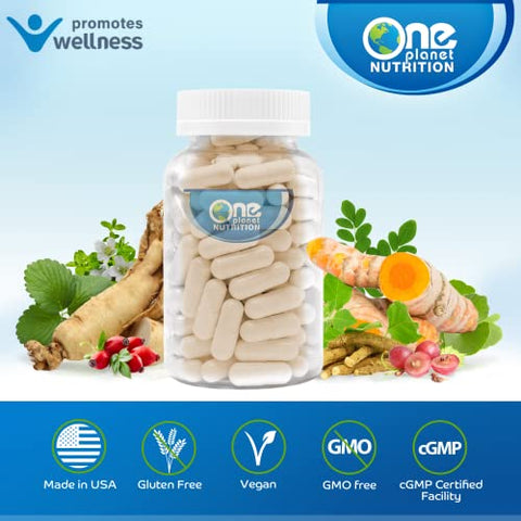 One Planet Nutrition - Nano Silymarin – Extrato de Sementes de Cardo Mariano para o Fígado, Extrato de Silymarin para Absorção | 100% Natural | 60 cápsulas | Marca Nano Silymarin