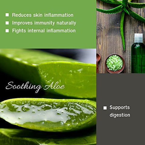 Cápsulas de Aloe Vera (Aloe barbadensis) | 120 Cápsulas (500 mg) | Pó Liofilizado de Aloe Puro, Alta Concentração, Suporte ao Bem-Estar Geral | HERBAL HILLS - HERBAL HILLS