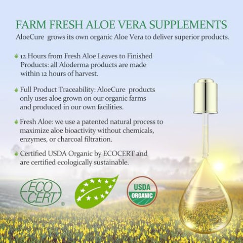 Cápsulas Orgânicas de Aloe Vera, 160.000mg Equivalente de Folha Interna de Aloe por Porção, Suporte para a Saúde Intestinal - AloeCure
