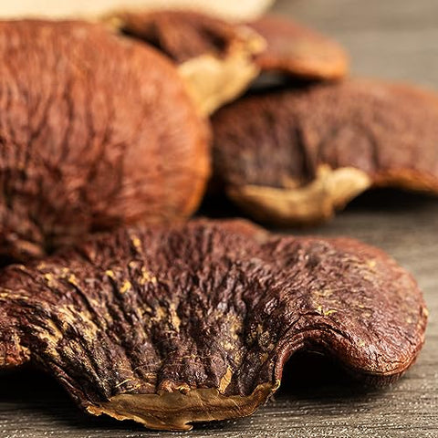 PURE ORIGINAL INGREDIENTS - Reishi Mushroom Lingzhi 100% Puro (454g) – Ingredientes Originais, Verificado em Laboratório, Livre de Transgênicos
