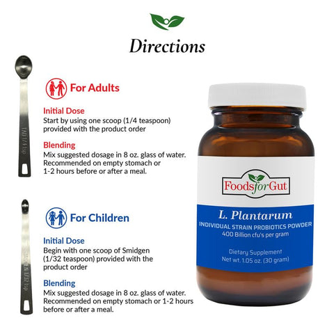 Foods For Gut - Lactobacillus Plantarum Probiótico em Pó 400 Bilhões de UFC’s | Fabricado nos EUA | Sem Aditivos | Digestivo
