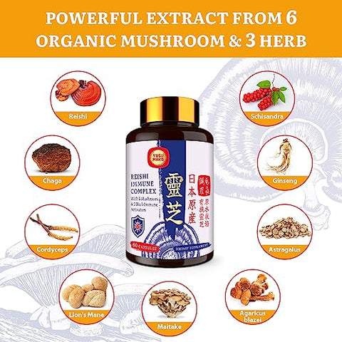 Yasumako - Complexo de Cogumelos Japoneses Reishi 1500mg – Reishi, Chaga, Cordyceps, Lion’s Mane, Maitake, Extrato de Cogumelos Agaricus