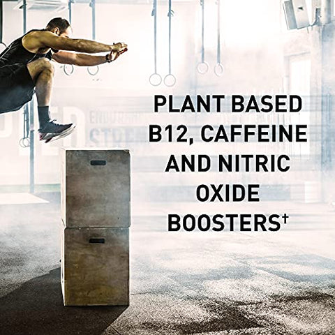 Sport Energia Limpa em Pó Pré-Treino à Base de Plantas Orgânicas, com 85mg de Cafeína, Estimulante Natural, B12, Vegano, Sem Glúten, Não-OGM, Amora, 430g - Garden of Life