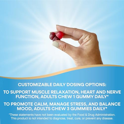 Nature's Way - Nature’s Way Magnesium Gummies – Promove Calma* com Citrato de Magnésio, Sabor Framboesa e Amora, 90 Gummies