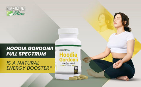 Hoodia – Extrato Herbal Natural em Pó – Fonte de Folha de Hoodia Gordonii – Supressor Natural de Apetite Vegano – Estimulante – 60 Cápsulas Vegetais - Maximum Slim