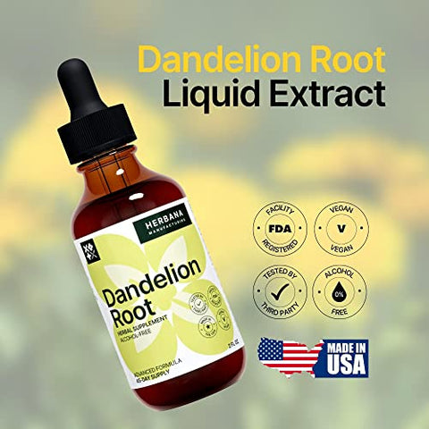 HERBANA MANUFACTURING - Extrato Líquido de Raiz de Dente-de-leão – Suplemento Herbal Natural para Limpeza e Função Digestiva – 100ml