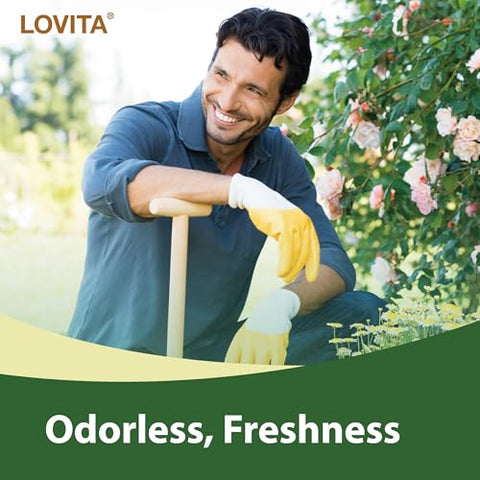 Extrato de Alho Inodoro | 5000mg | 1.25%% Alicina | Sem Glúten | Suporte à Saúde Imunológica e Cardiovascular | 60 Cápsulas Vegetarianas (Fornecimento de 6 Meses) (Pacote com 3) - Lovita