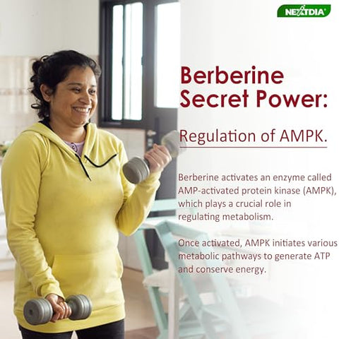 Nextdia - Berberine 1500mg – Gomas de Canela de Ceilão sem Açúcar com Berberina, Cromo, Cúrcuma e Cardo de Leite para Equilíbrio Natural do Metabolismo – HCl de Berberina da Índia