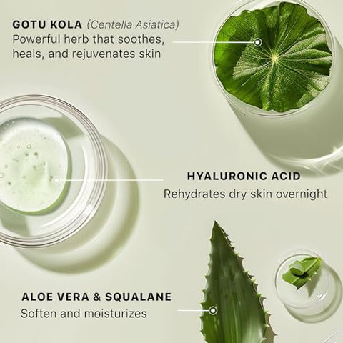 Beauty by Earth - Hidratante Facial com Ácido Hialurônico – Orgânico, Fabricado nos EUA (30ml)