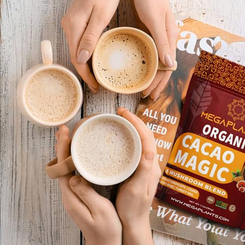 MEGAPLANTS - MegaPlants Cacao Magic (50 Porções) | Superfood 5 Blend de Cogumelos | Cogumelo do Leão, Reishi, Chaga, Cordyceps, Turkey Tail | Smoothie, Chocolate Quente, Alternativa ao Café