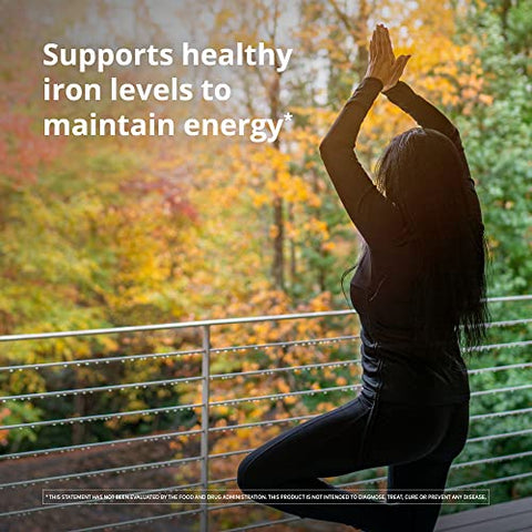 Iron: Suplemento de Ferro Líquido de Alta Absorção – 250ml - Floradix