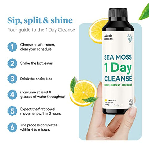 Atlantic Naturals - Desintoxicação Completa do Corpo com Sea Moss 1 Day Cleanse | Apoio Intestinal, Renal, Hepático, Imunológico e Energético | 240 ml