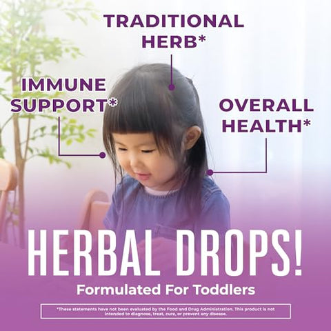 MaryRuth Organics - Xarope de Sabugueiro Orgânico MaryRuth para Crianças | Suporte Imunológico para Idades de 1 a 3 Anos | Verificado pelo Clean Label Project®, Vegano, Não-OGM | Livre de Açúcar | USDA Orgânico