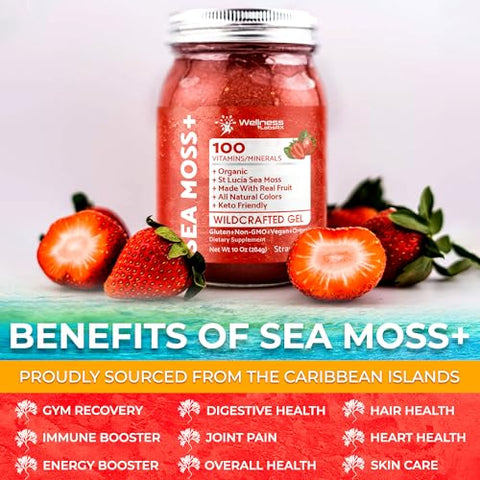 WELLNESS LABSRX - Gel de Musgo do Mar Irlandês Orgânico Cru – Gel de Superfood de Musgo Selvagem – Sabor Morango, Rico em Vitaminas e Minerais das Águas Pristinas do Caribe, Saúde Imunológica e Digestiva – Marca: Irish Sea Moss Gel