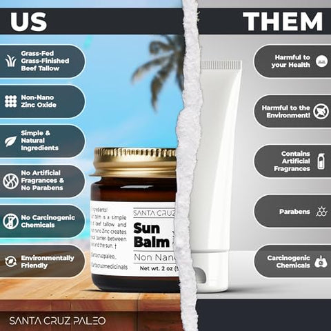 Bálsamo Solar Santa Cruz Paleo de Sebo de Carne Bovina e Zinco – Proteção Solar Natural e Nutritiva (50g)