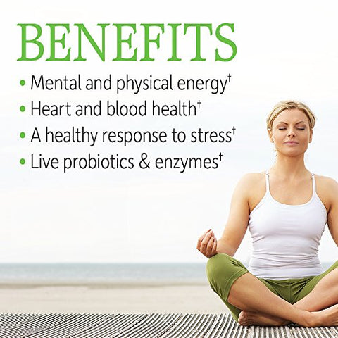 Multivitamínico Feminino 60 Comprimidos + Complexo de Vitamina B 120 Cápsulas para Energia, Metabolismo, Coração e Saúde Imunológica - Garden of Life