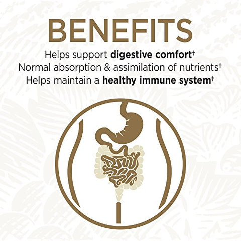 Probióticos Primal Defense Ultra 216 Cápsulas Suplemento de Zinco 30mg Alta Potência 60 Cápsulas - Garden of Life