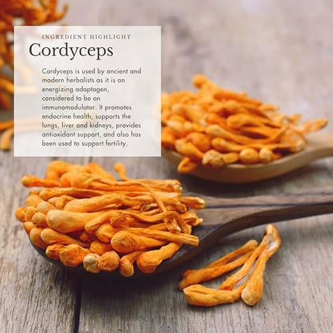 Anima Mundi Apothecary - Anima Mundi Cogumelo Orgânico – Cacau com Cogumelos Adaptogênicos – Pó de Cogumelo Revigorante com Lion’s Mane, Shiitake, Chaga – 100g