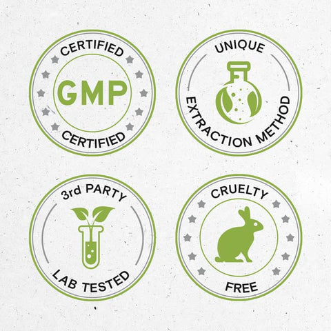 Secrets of the Tribe - Segredos da Tribo Extrato de Cardo Mariano em Tintura, Livre de Álcool, Alta Potência, Gotas Herbais, Tintura Feita a partir do Cardo Mariano Silybum marianum, Saúde do Fígado 2×120 ml