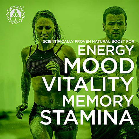 Maca em Pó Orgânica – Raiz Peruana Premium Superfood (Crua) – USDA – 100g - Zen Spirit