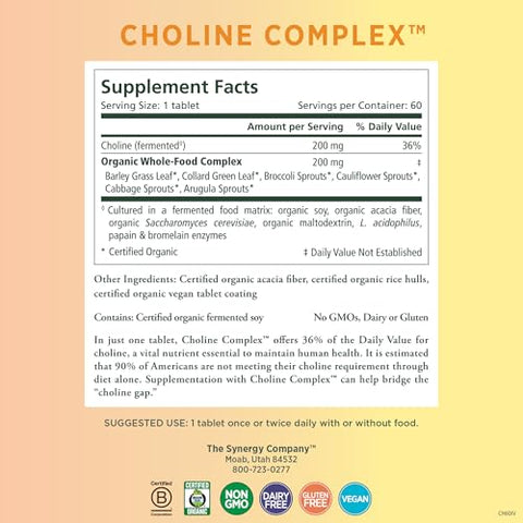 Choline Complex | Suplemento Vegano de Colina Feito com Alimentos Orgânicos | Complexo de Colina Bioacessível Não-OGM | para Saúde na Gravidez, Cérebro e Fígado (60 Comprimidos) - PURE SYNERGY