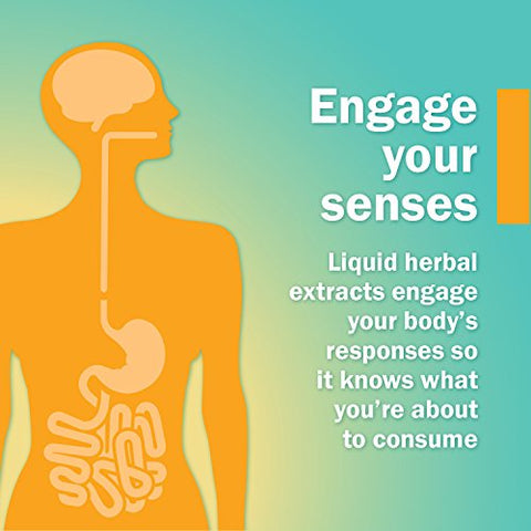 Extrato Líquido de Pimenta Caiena Orgânica Certificada para Suporte Cardiovascular e Circulatório – 120 ml, Marrom - Herb Pharm