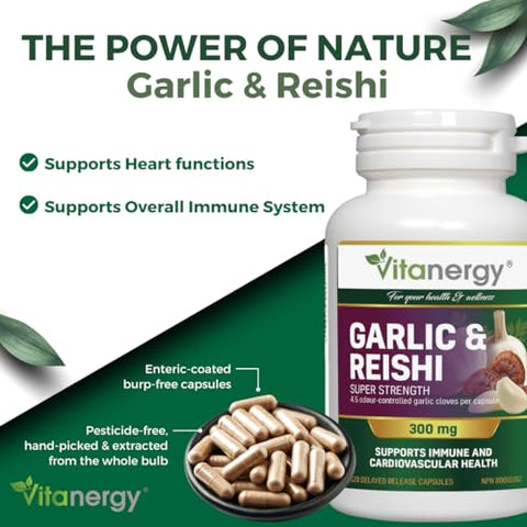Vitanergy - Alho Orgânico em Pó 100g – Potencialize suas receitas com o sabor único do alho