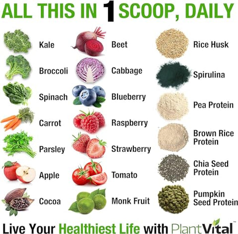 Plantvital - PlantVital: Pó de Proteína Vegana à Base de Plantas, Chocolate Orgânico, 24g/0g açúcar, 12 Superfoods, Vegetais, Probióticos, Cacau Cru, Couve, Beterraba, Spirulina, Ervilha
