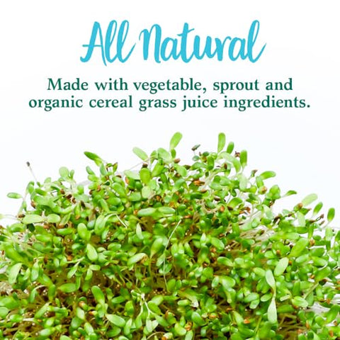 Garden of Life - Garden Of Life – Superalimento em Pó de Vegetais Integrais Perfect Food Green, 600g