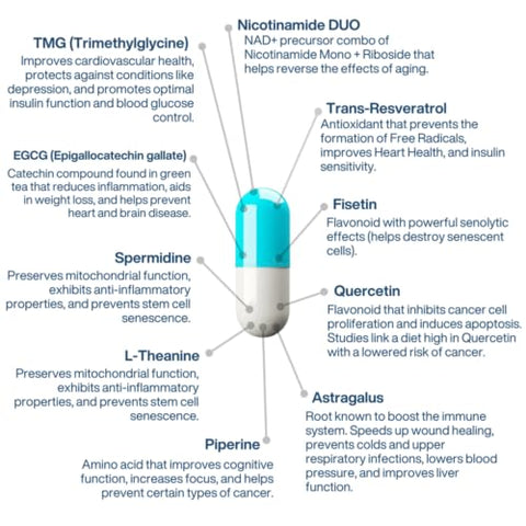 PERPETUA.LIFE - Complexo Anti-Aging NAD AEON com Nicotinamida DUO™, Fisetina, Quercetina, Resveratrol, TMG, Spermidina, Astragalus, L-Theanina e Mais | Marca AEON