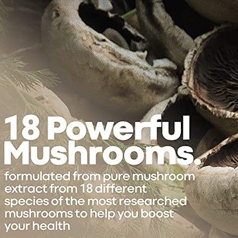 Complexo de Suplemento Nootrópico de Cogumelos para Suporte ao Sistema Imunológico – 60 cápsulas, 500mg - Herbtonics