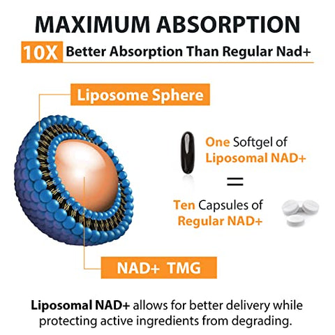 Orgabay - Suplemento Liposomal NAD 500 mg, Alta Absorção, Aumente NAD com TMG 250 mg, NAD Real mais Eficiente que Ribosídeo de Nicotinamida, Suporte à Energia Celular, Envelhecimento Saudável