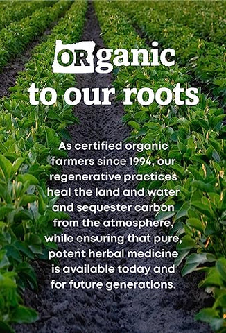 Oregon's Wild Harvest - Oregon’s Wild Harvest Cápsulas Veganas de Ashwagandha Orgânica Certificada, 1200 mg, 90 Unidades