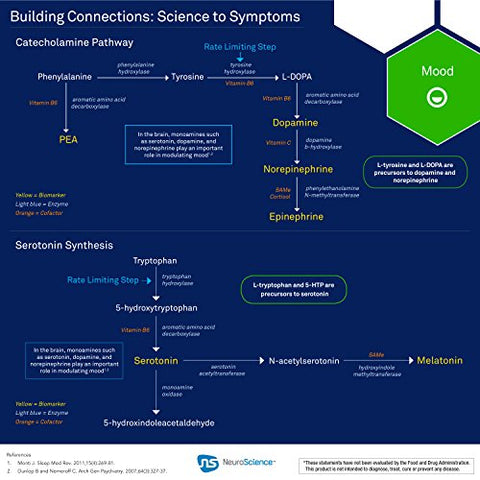 Serene – Suporte ao Humor e Sono com 100mg de 5-HTP, Vitamina B6, Folate e Cálcio – Suplemento de Suporte à Serotonina para Função Sono-Vigília (60 cápsulas) - NeuroScience