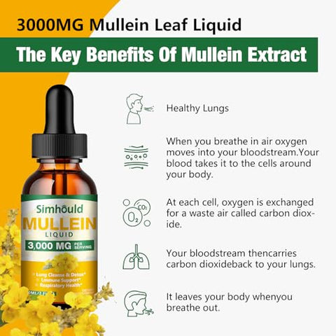 Simhould - 2 Pack Tintura de Mullein – 3000mg Extrato de Folha de Mullein Orgânico para Desintoxicação Pulmonar e Saúde Respiratória, Suplemento Natural, Suporte Digestivo e Impulsionador Imunológico, Marca X