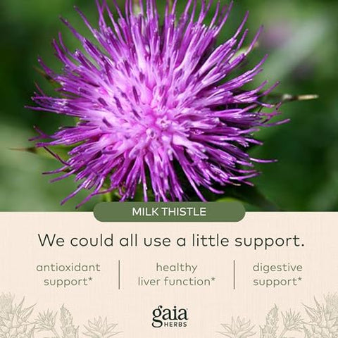 Milk Thistle – Suplemento para o Fígado – 60 cápsulas – 500mg - Gaia Herbs
