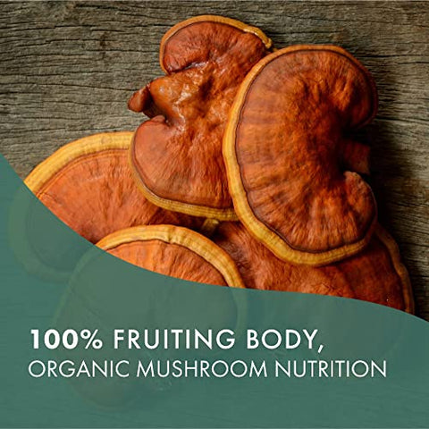 MyPure Reishi 4X – Suplemento de Cogumelos Orgânicos 100% Reais para Suporte Imunológico, Alívio do Estresse e Energia (60 Cápsulas) - PURE ESSENCE LABS