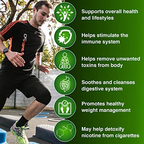 Wellgenix - Desintoxicação Completa do Corpo Strip 5 Dias | Elimine Toxinas | Limpeza Corporal