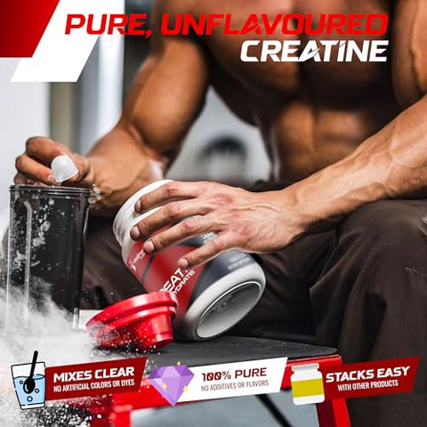 WELLNESS LABSRX - Creatina em Pó Monohidratada – 5000mg, (500g) 100 Porções, Creatina Micronizada para Homens, Suplemento para Crescimento e Recuperação Muscular, Performance Aumentada