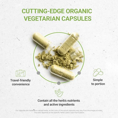 Secrets of the Tribe - Segredos da Tribo – Semente de Coentro 120 Cápsulas, Orgânico USDA, Feito com Cápsulas Vegetais (120 Cápsulas)