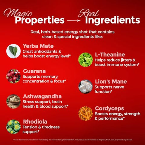 WHOLESOME ORGANICS - Energético Natural Extra Forte Sem Açúcar – Shots de Energia 60ml