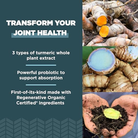 Cápsulas de Cúrcuma Certificadas Regenerativas Orgânicas, Uso Diário, Suplemento para Articulações e Suporte à Inflamação, Livre de Glúten, Amigável à Dieta Paleo e Keto, 90 Unidades - Ancient Nutrition