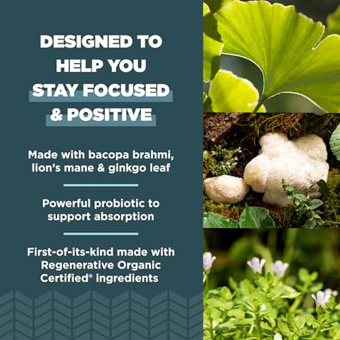 Cápsulas Certificadas Orgânicas Regenerativas para o Foco Cerebral, com Folha de Ginkgo e Cogumelo do Leão para Reduzir o Estresse, Livre de Glúten, Amigável à Dieta Paleo e Keto, 90 Unidades - Ancient Nutrition