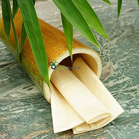 careboree - 400 Unidades de Lenços de Algodão Multiuso Careboree Não Branqueados para Bebês, Tamanho Pequeno, Sem Perfume