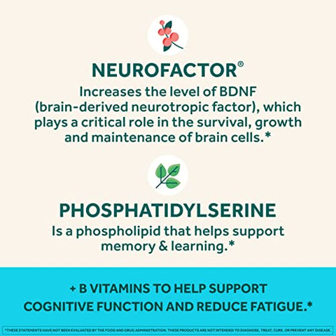 Suplemento NEURIVA Plus para Memória e Foco – Potencialize seu Cérebro